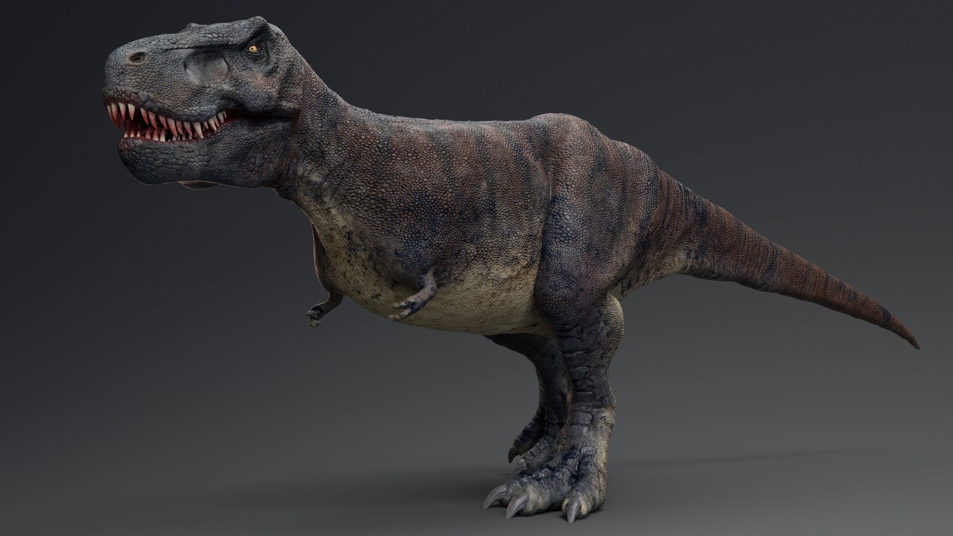 Dinosaur Tarbosaurus Bataar  Real Dinosaur 76 Animations   Low-poly 3D model_10