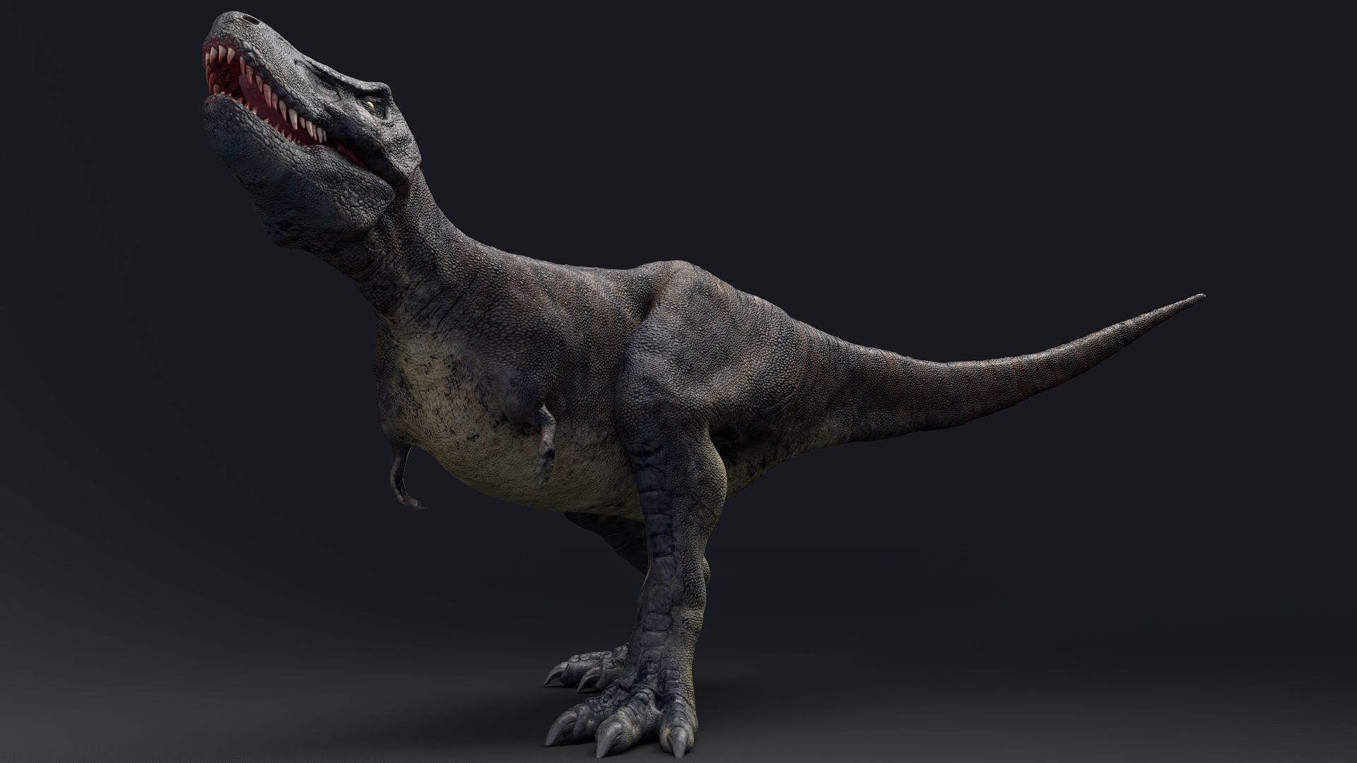 Dinosaur Tarbosaurus Bataar  Real Dinosaur 76 Animations   Low-poly 3D model_16
