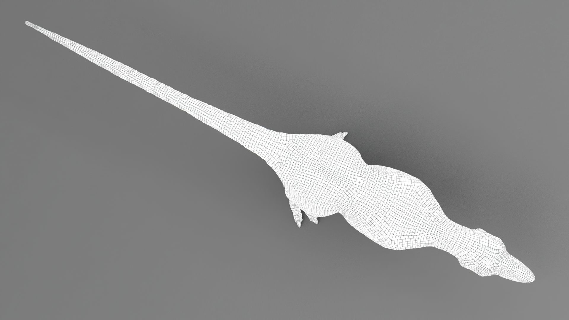 Dinosaur Tarbosaurus Bataar  Real Dinosaur 76 Animations   Low-poly 3D model_23