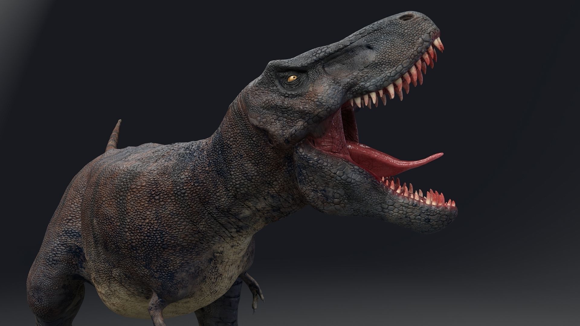 Dinosaur Tarbosaurus Bataar  Real Dinosaur 76 Animations   Low-poly 3D model_18