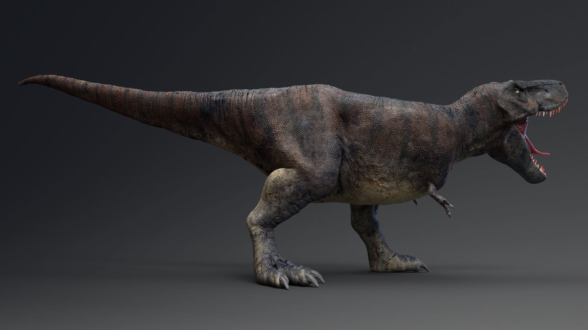 Dinosaur Tarbosaurus Bataar  Real Dinosaur 76 Animations   Low-poly 3D model_17