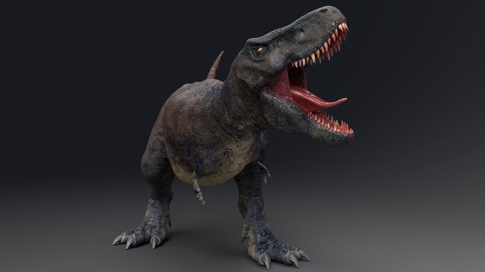 Dinosaur Tarbosaurus Bataar  Real Dinosaur 76 Animations   Low-poly 3D model_3