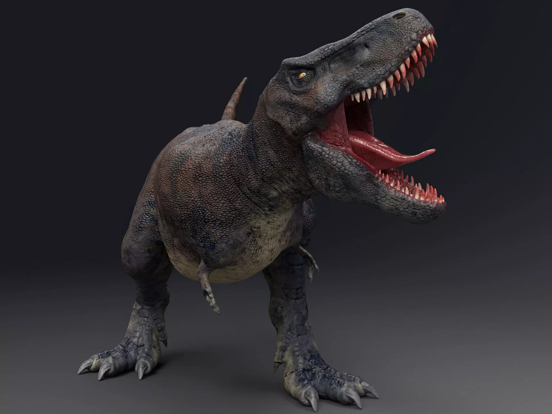 Dinosaur Tarbosaurus Bataar  Real Dinosaur 76 Animations   Low-poly 3D model_0