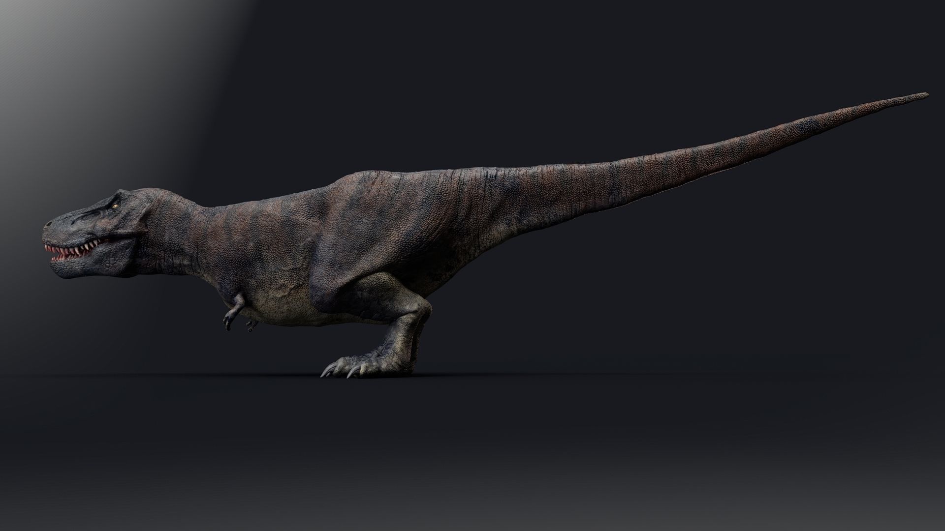 Dinosaur Tarbosaurus Bataar  Real Dinosaur 76 Animations   Low-poly 3D model_15