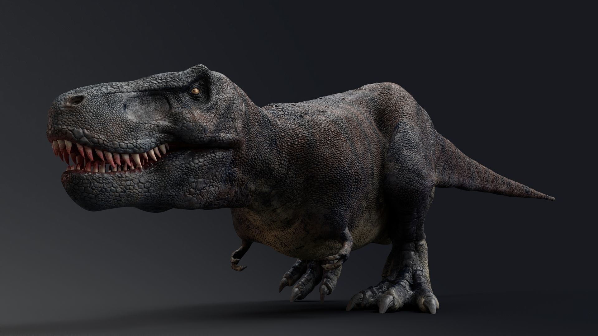 Dinosaur Tarbosaurus Bataar  Real Dinosaur 76 Animations   Low-poly 3D model_9