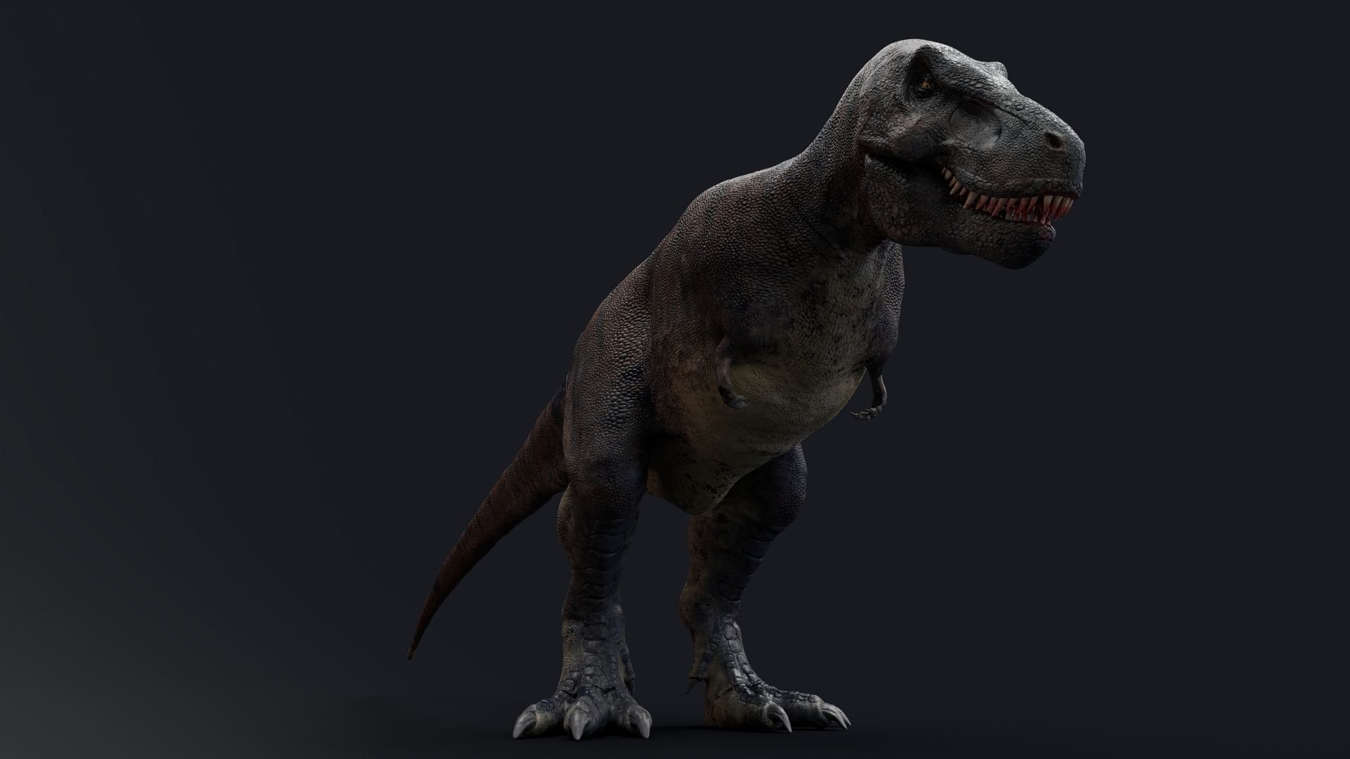 Dinosaur Tarbosaurus Bataar  Real Dinosaur 76 Animations   Low-poly 3D model_8