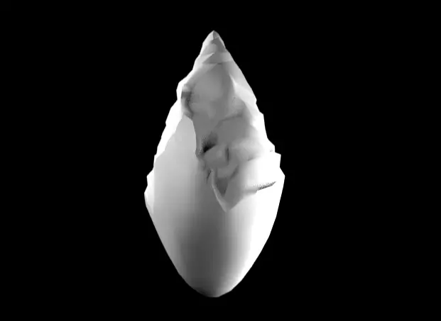 PALEOLITHIC STONE 3D model