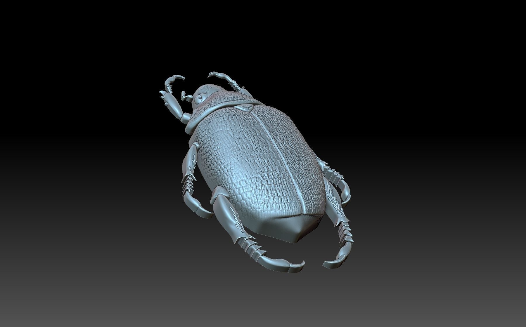 Beetle scarab 3D print model_5