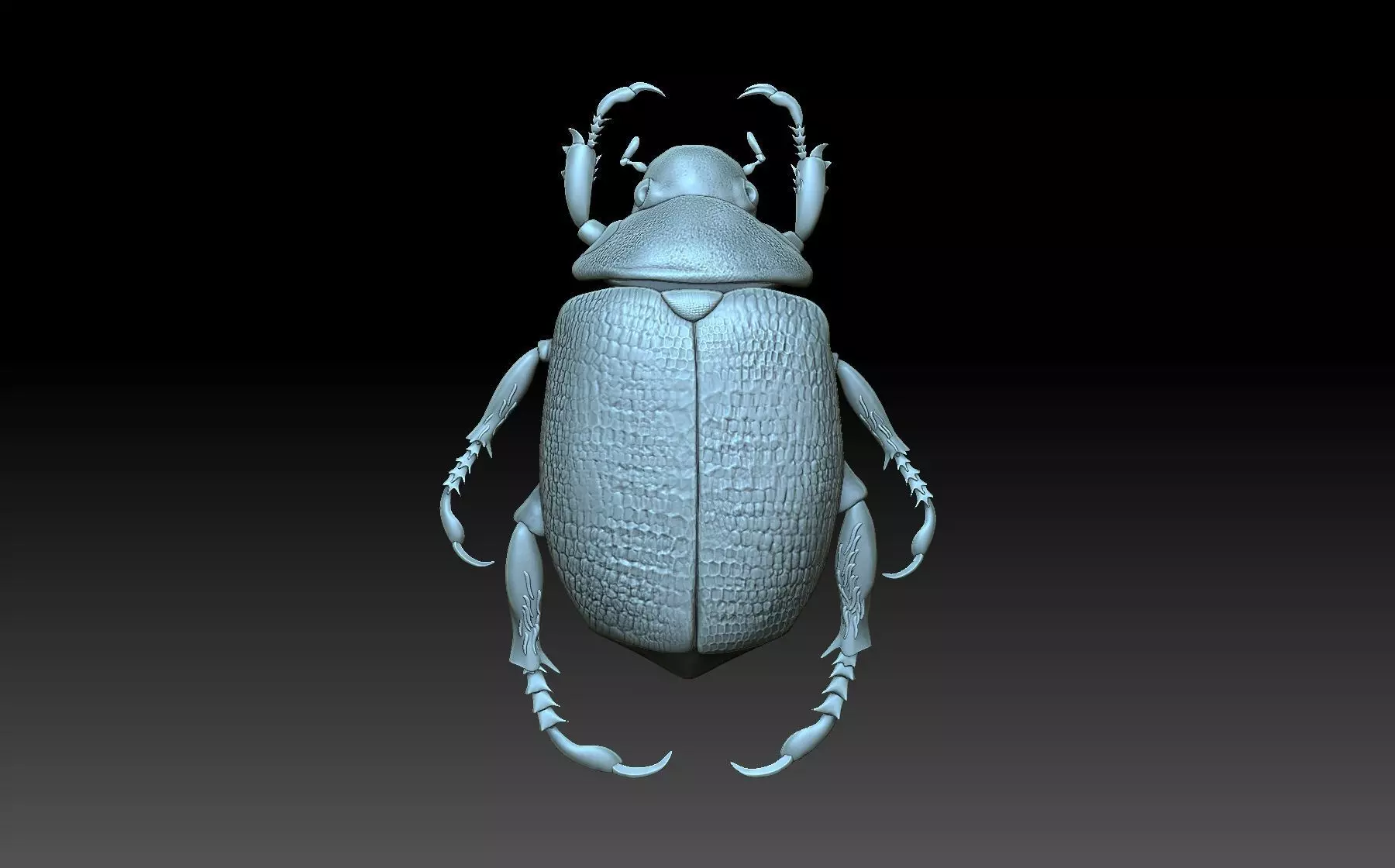 Beetle scarab 3D print model_0