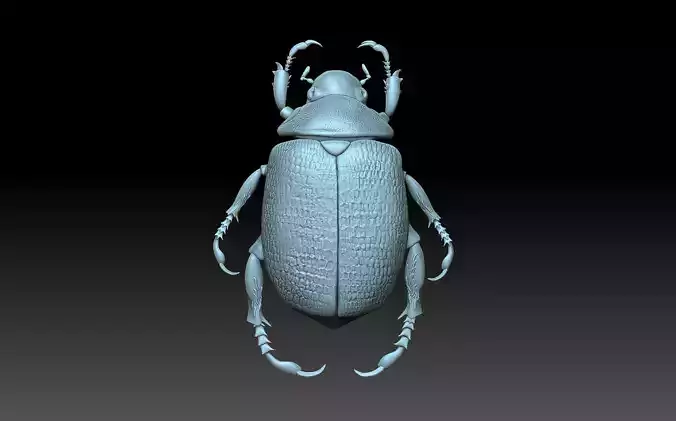Beetle scarab 3D print model