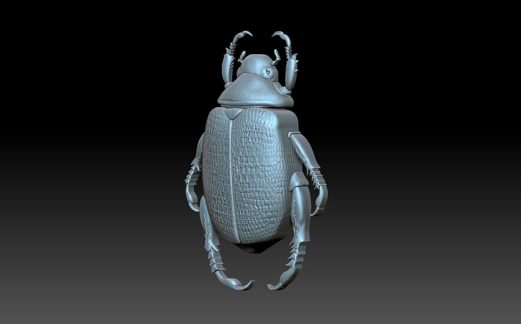 Beetle scarab 3D print model_1