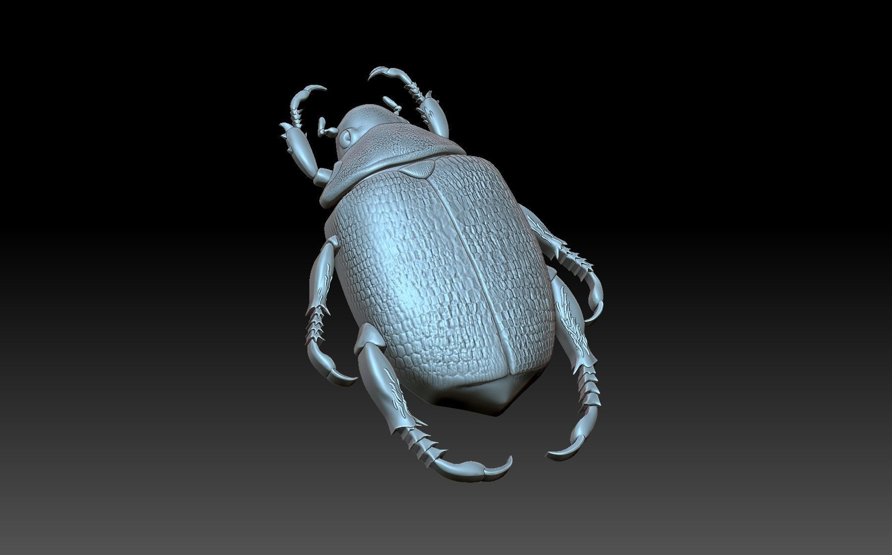 Beetle scarab 3D print model_4