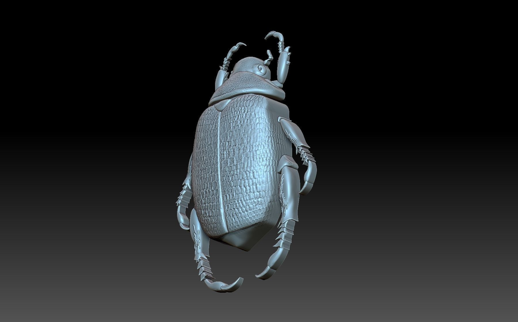 Beetle scarab 3D print model_7