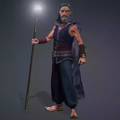 Wizard High quality character full Rigged and Animated 3D model