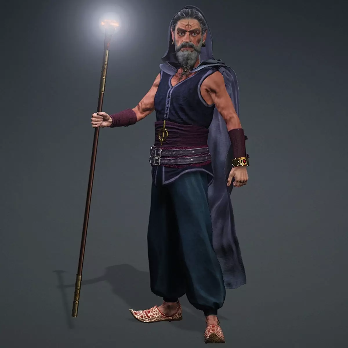 Wizard High quality character full Rigged and Animated 3D model_0