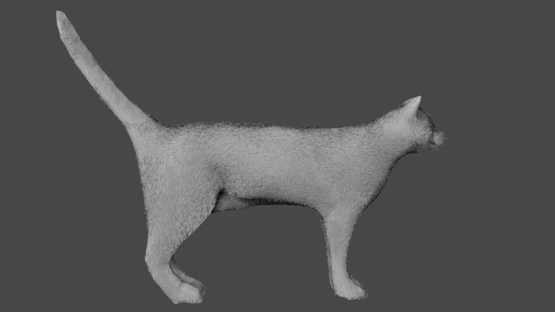 Black Cat Free low-poly 3D model_6