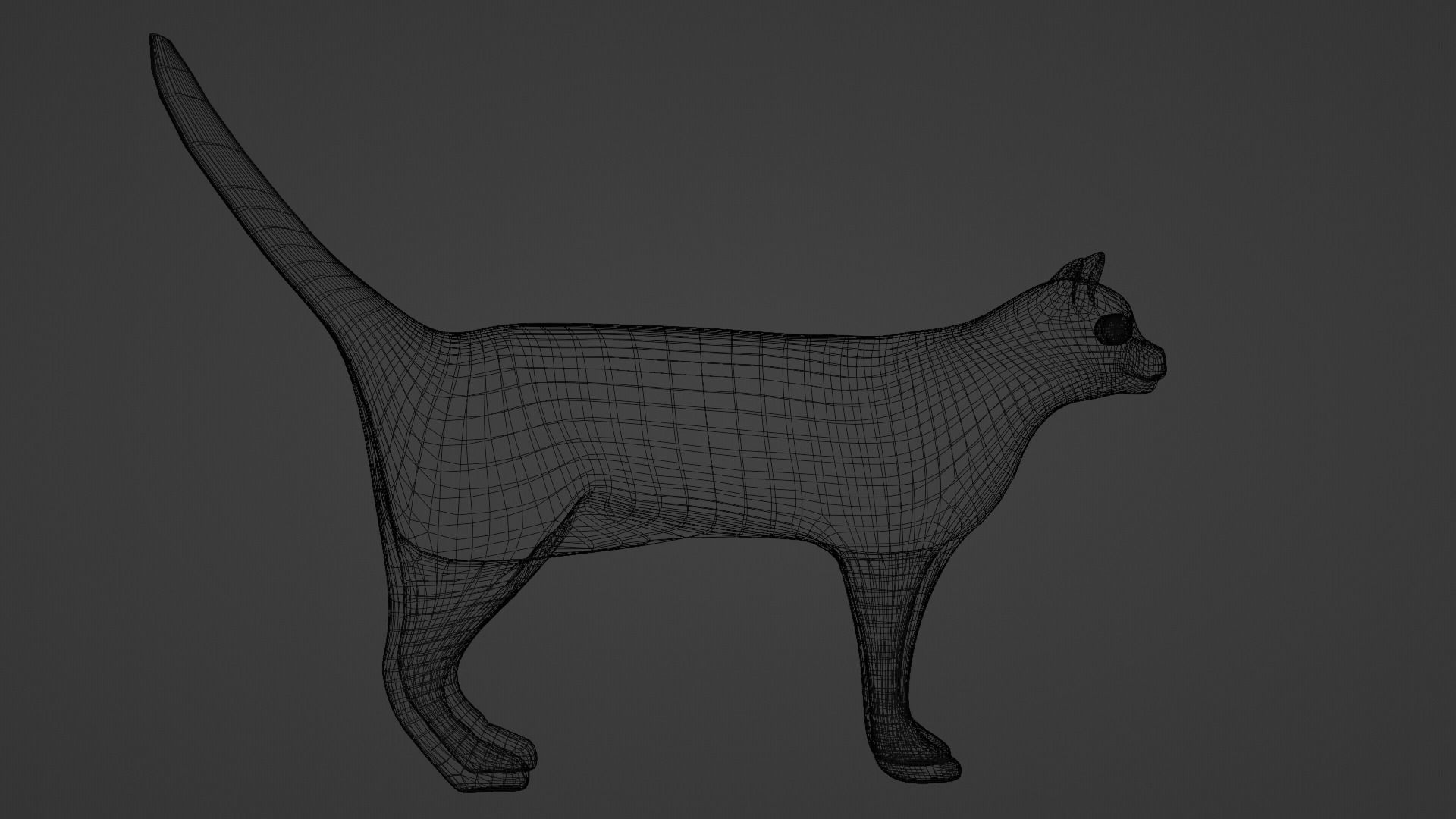 Black Cat Free low-poly 3D model_7