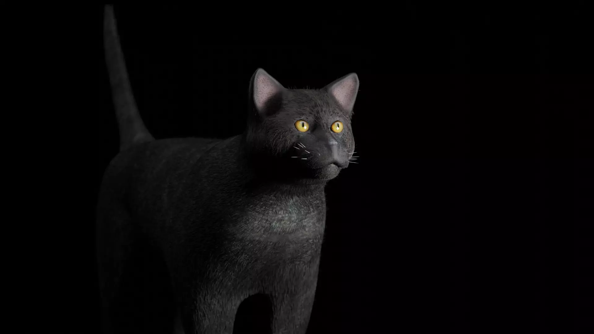 Black Cat Free low-poly 3D model_0