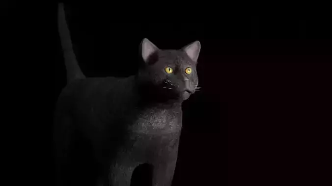 Black Cat Free low-poly 3D model
