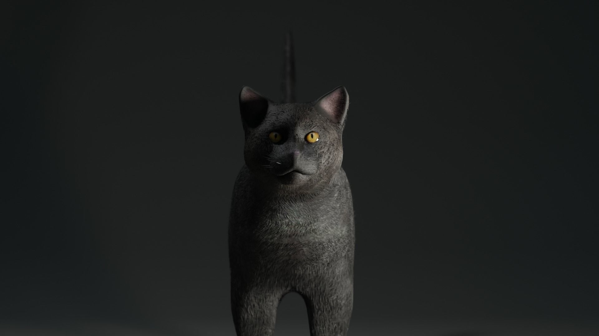 Black Cat Free low-poly 3D model_2