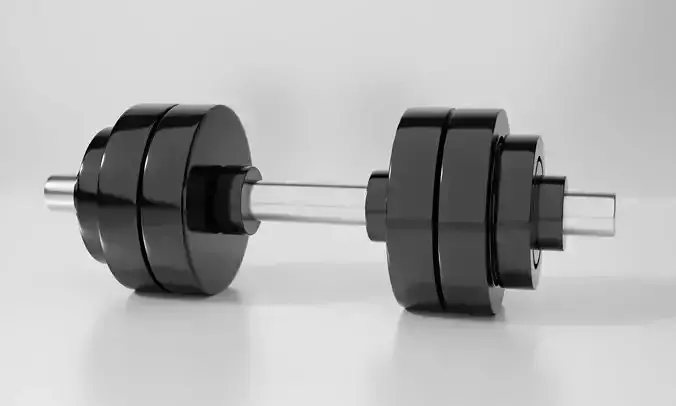 Equipment Gym Dumbbell Weight 3D model