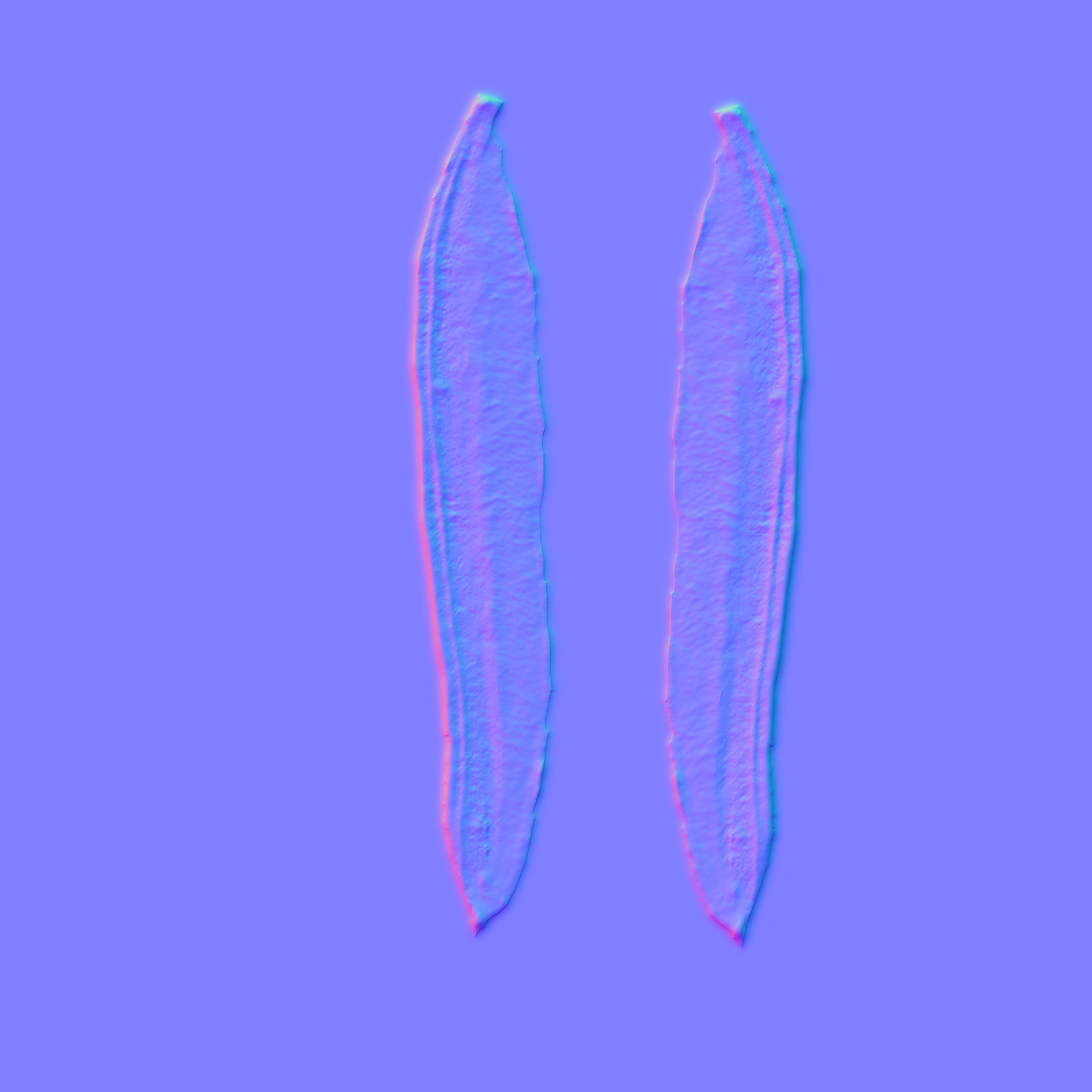 Beans Plant Harvest 3D model_7