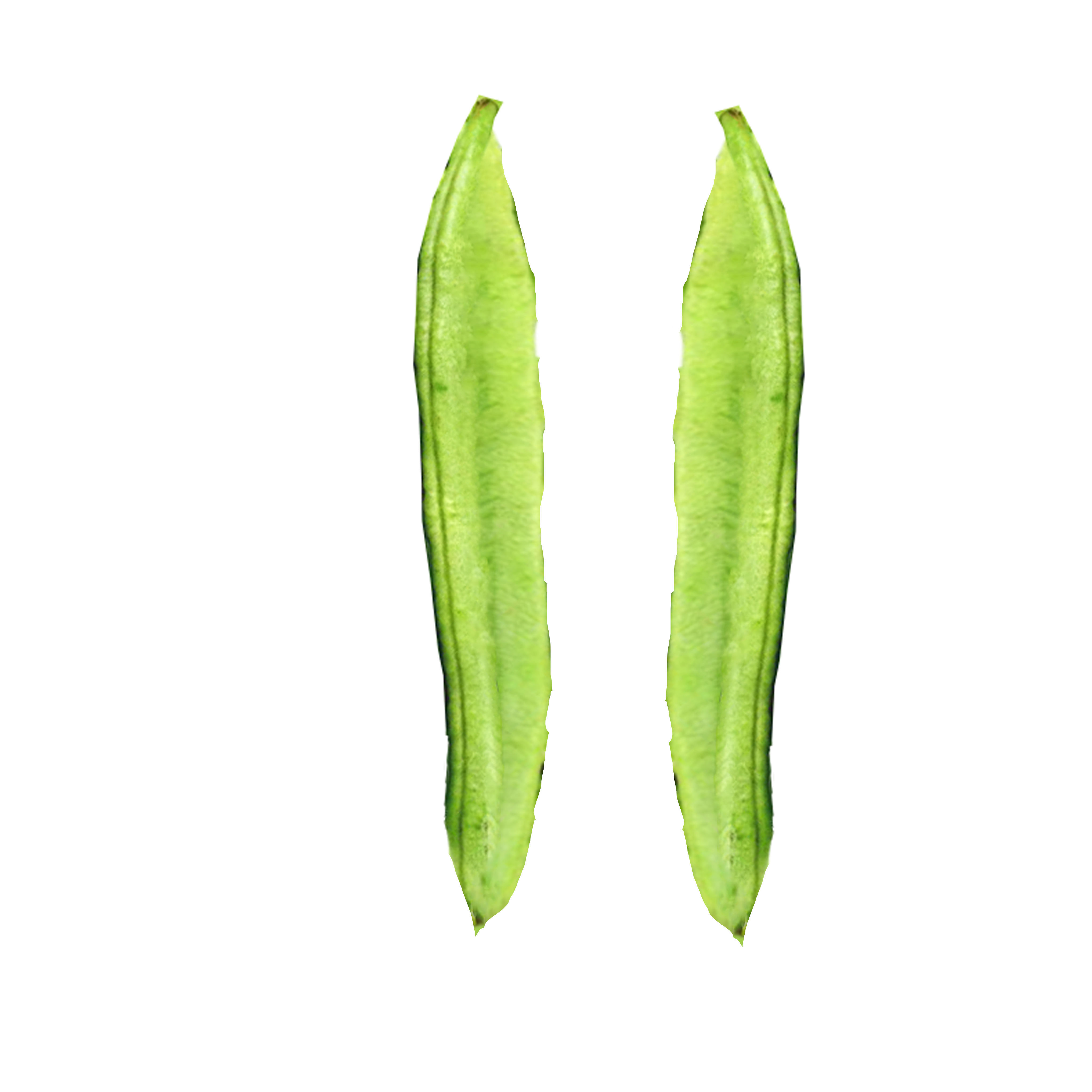 Beans Plant Harvest 3D model_8