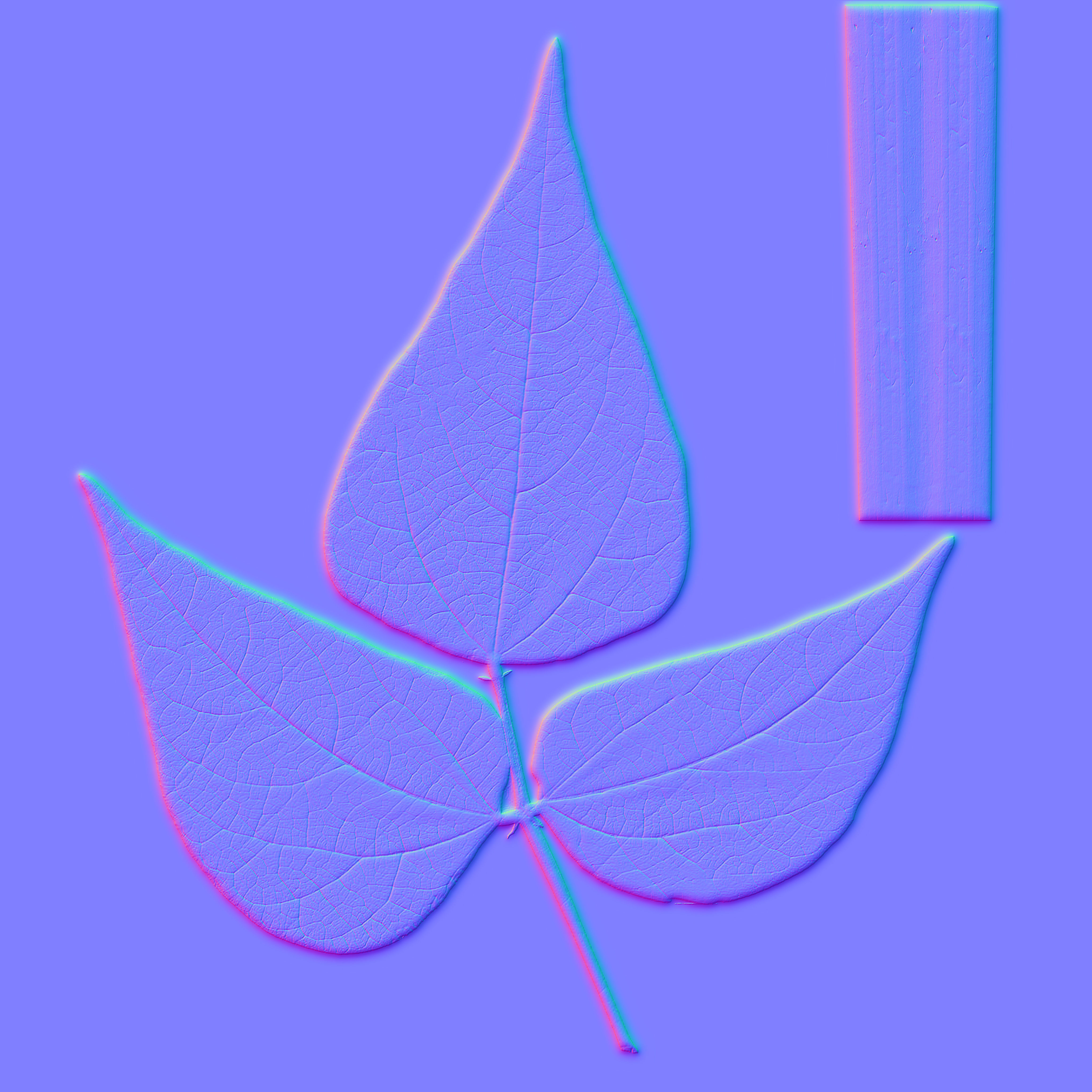 Beans Plant Harvest 3D model_12