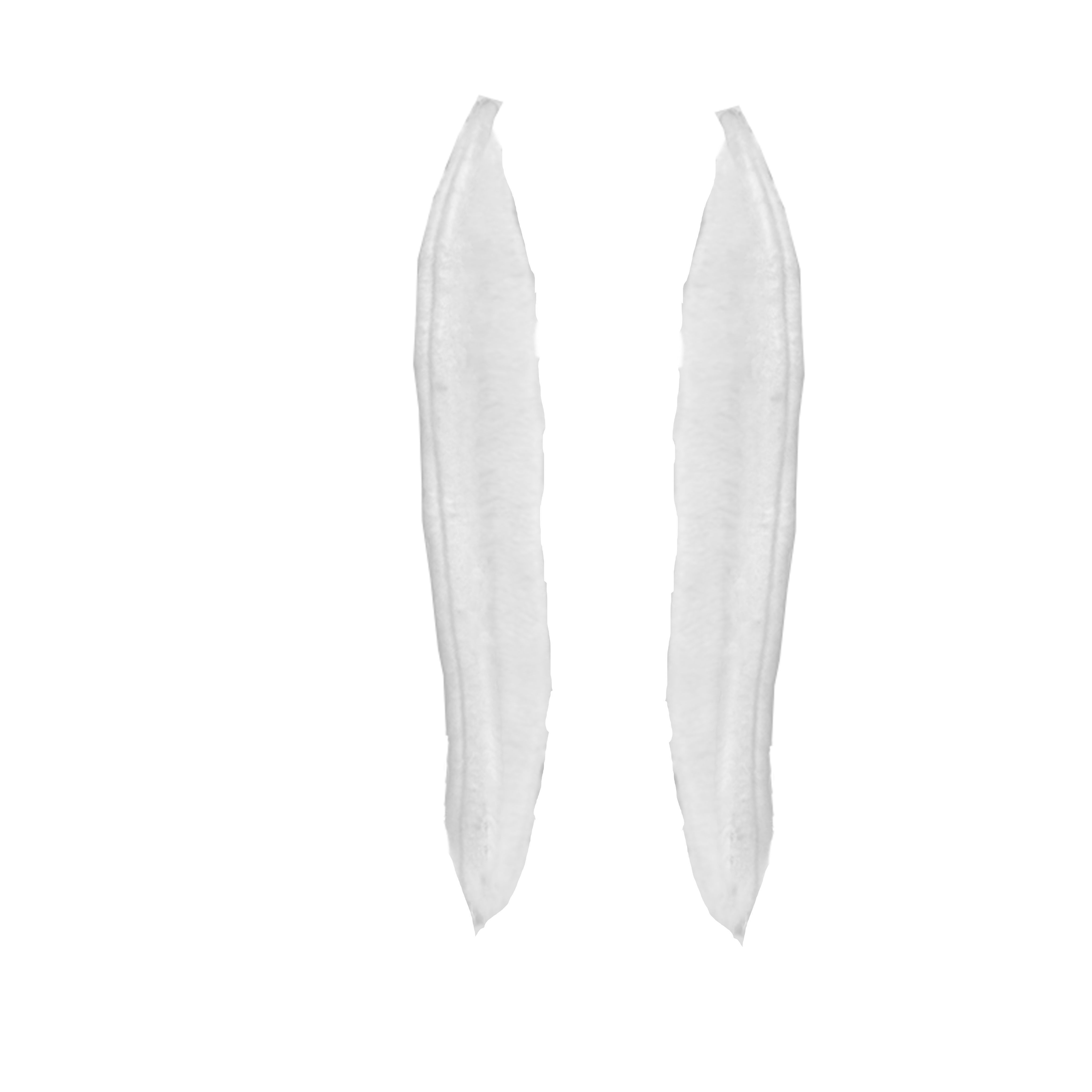 Beans Plant Harvest 3D model_1