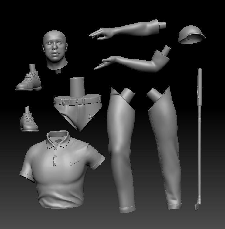  Tiger Wood 3D Printable 2 3D print model_2