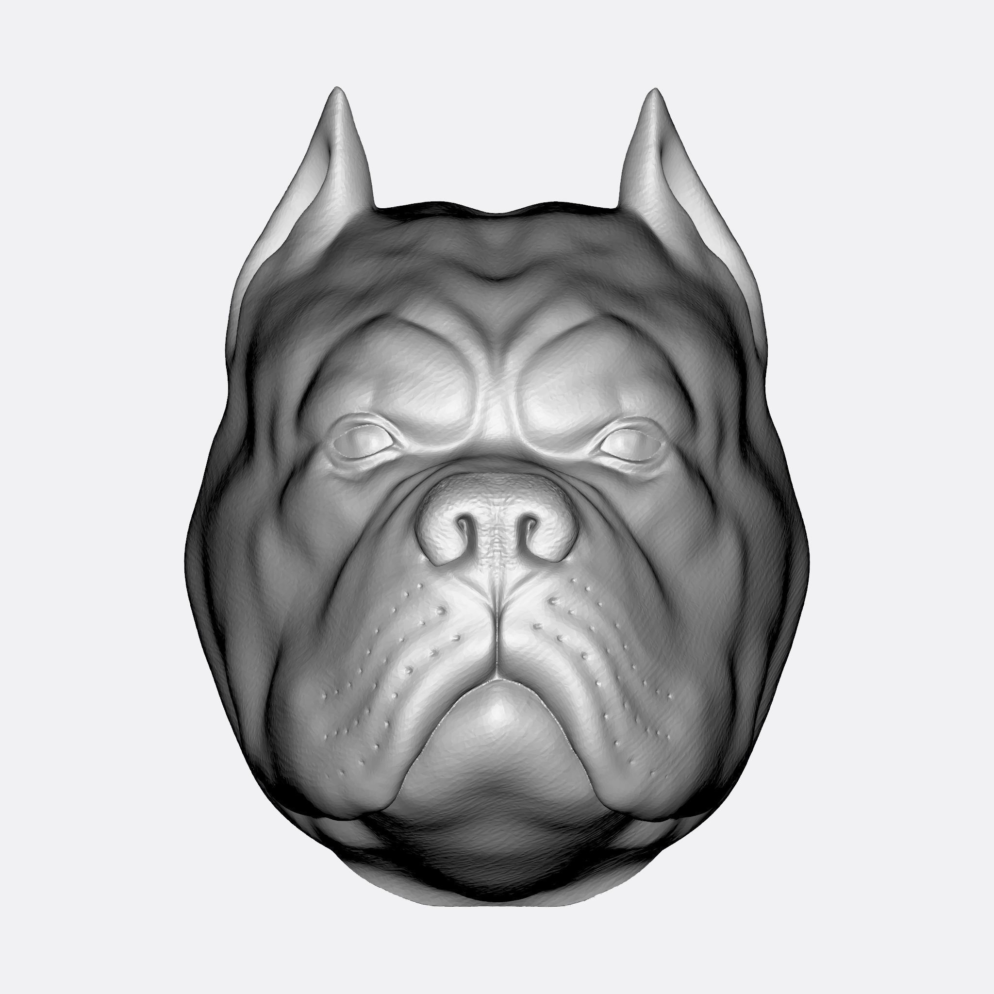 PITBULL 3D PRINT MODEL dog head 3D print model_5