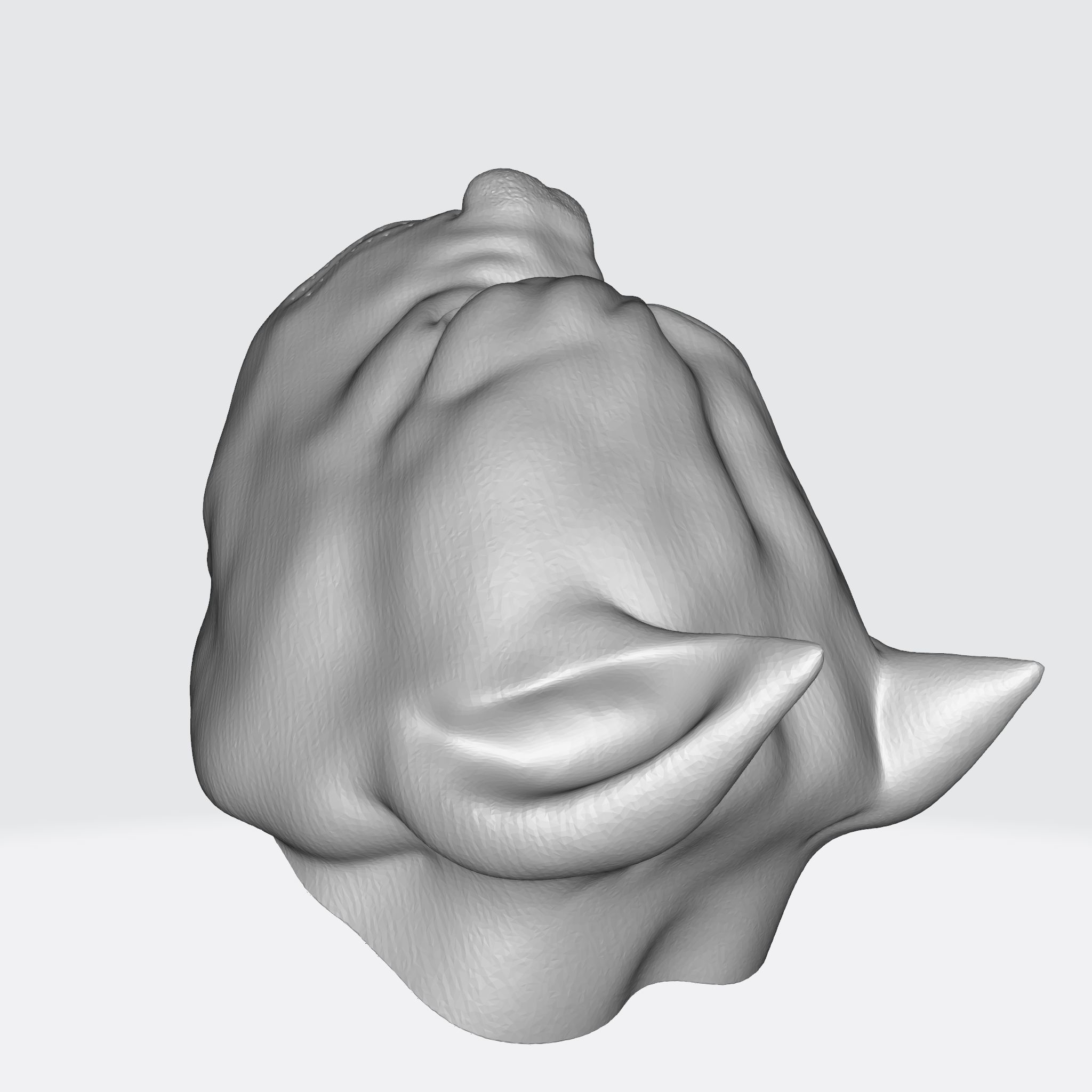 PITBULL 3D PRINT MODEL dog head 3D print model_20
