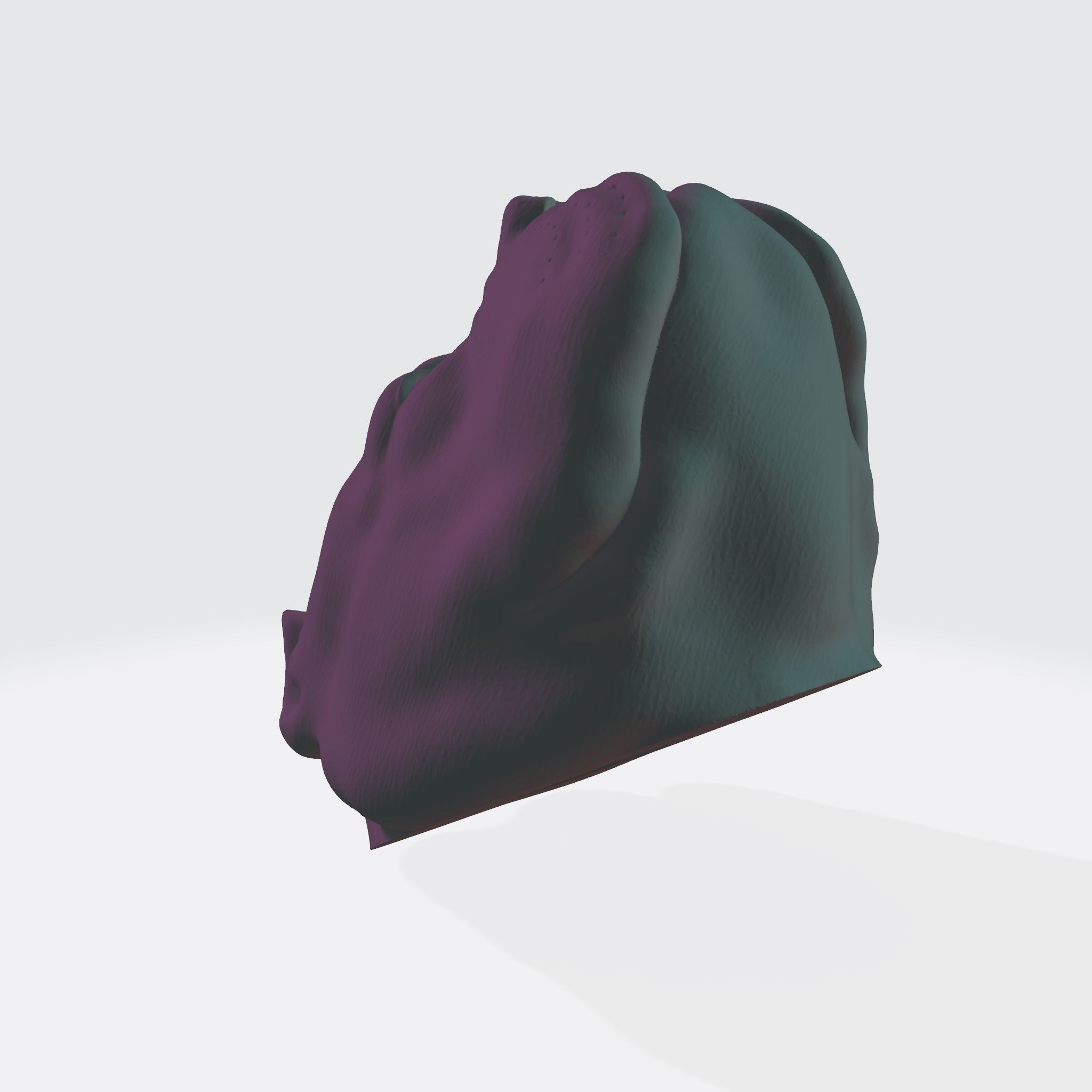 PITBULL 3D PRINT MODEL dog head 3D print model_25