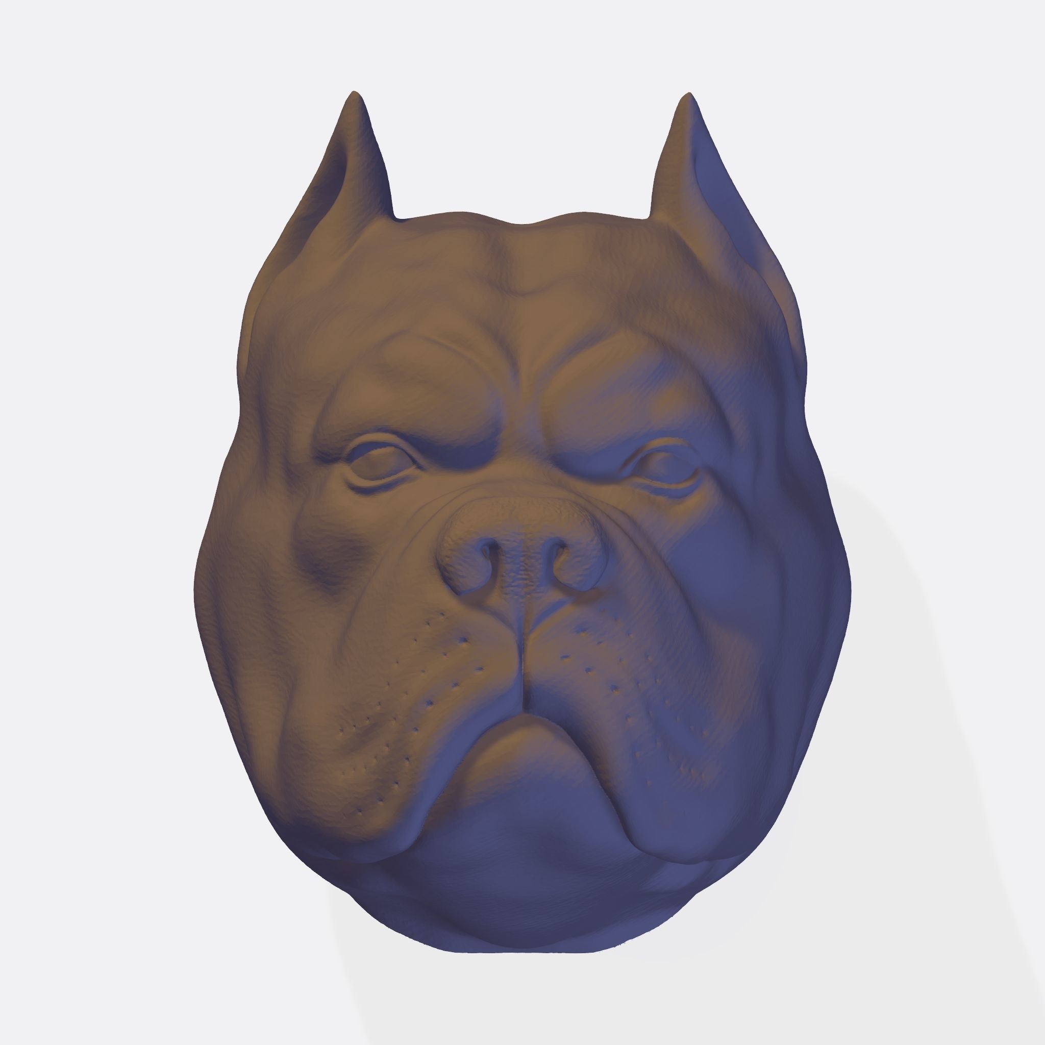 PITBULL 3D PRINT MODEL dog head 3D print model_13