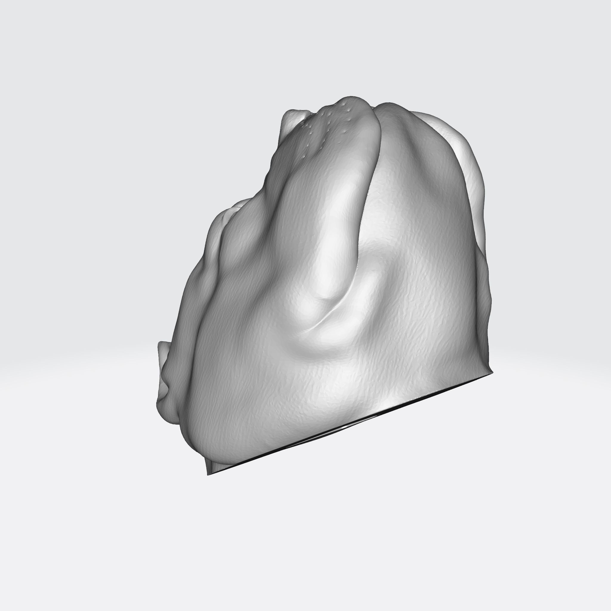 PITBULL 3D PRINT MODEL dog head 3D print model_28