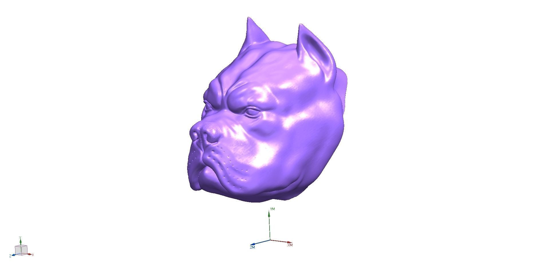 PITBULL 3D PRINT MODEL dog head 3D print model_3