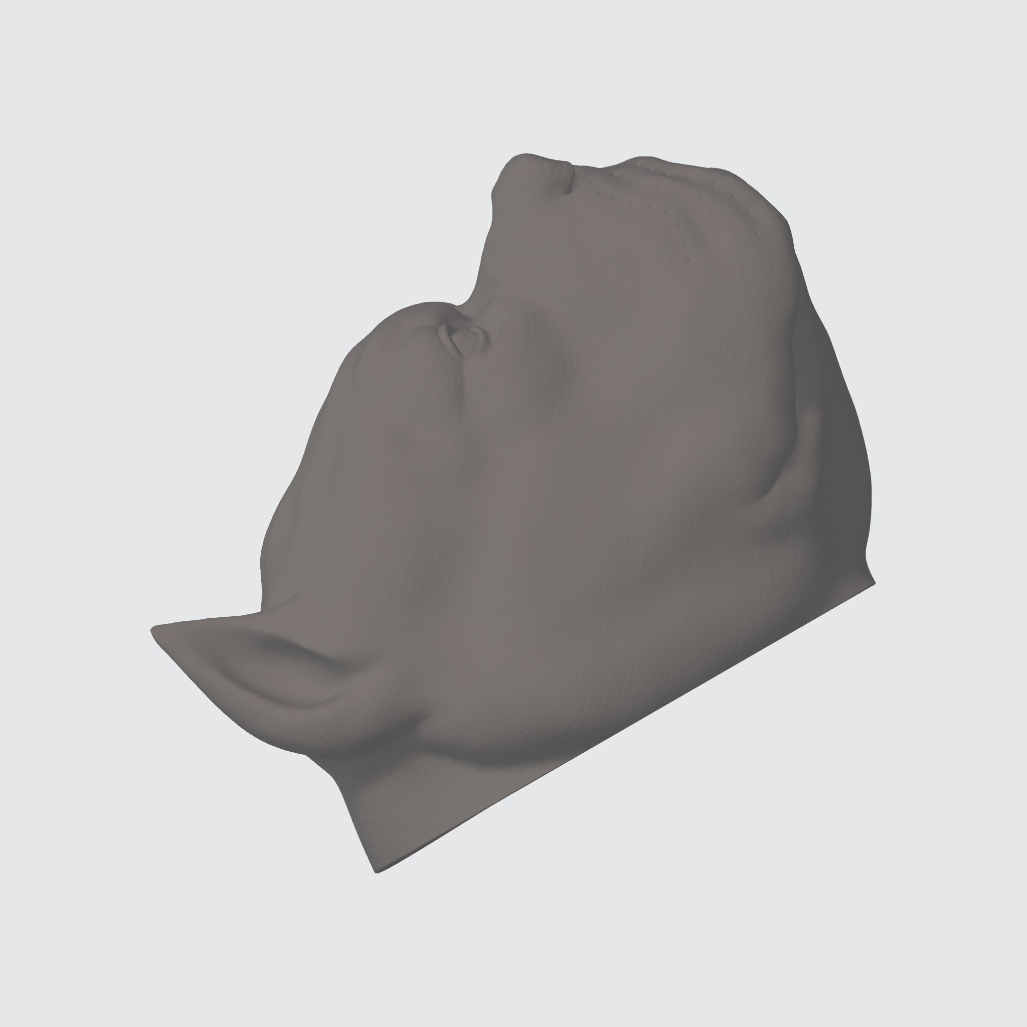 PITBULL 3D PRINT MODEL dog head 3D print model_27