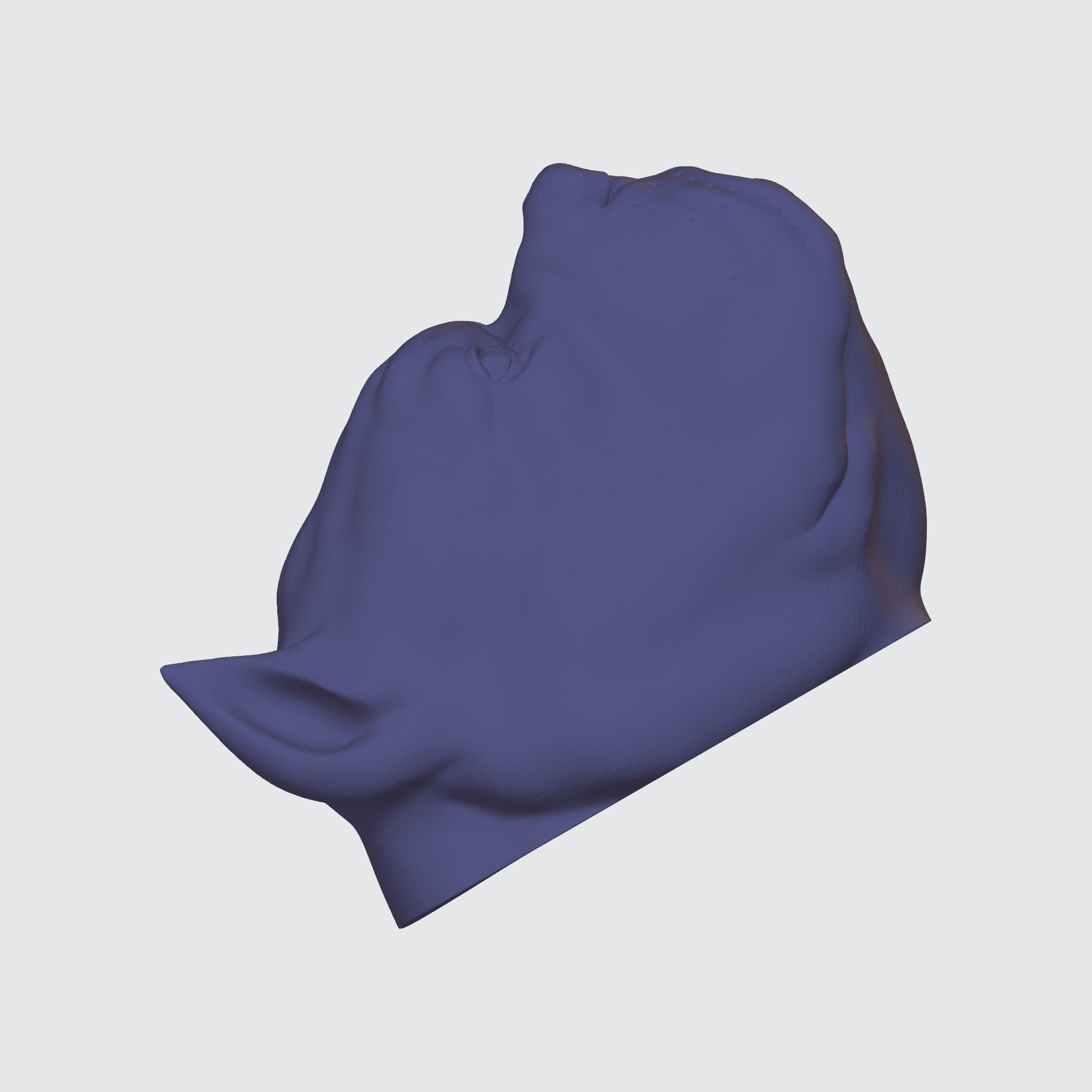 PITBULL 3D PRINT MODEL dog head 3D print model_22