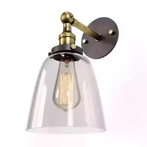 Clear Glass Swivel Shade Wall Lamp