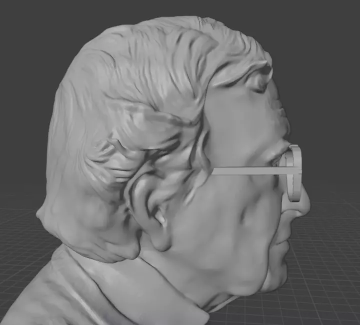 Noam Chomsky 3D print model_12
