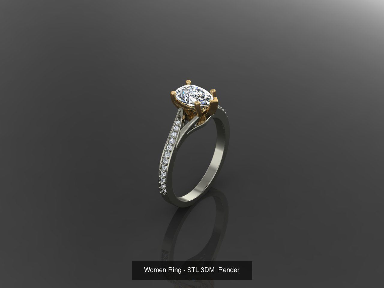 1400 Model Files - Women Ring Womens Rings Plain Models 3DM 3D Model Collection_217