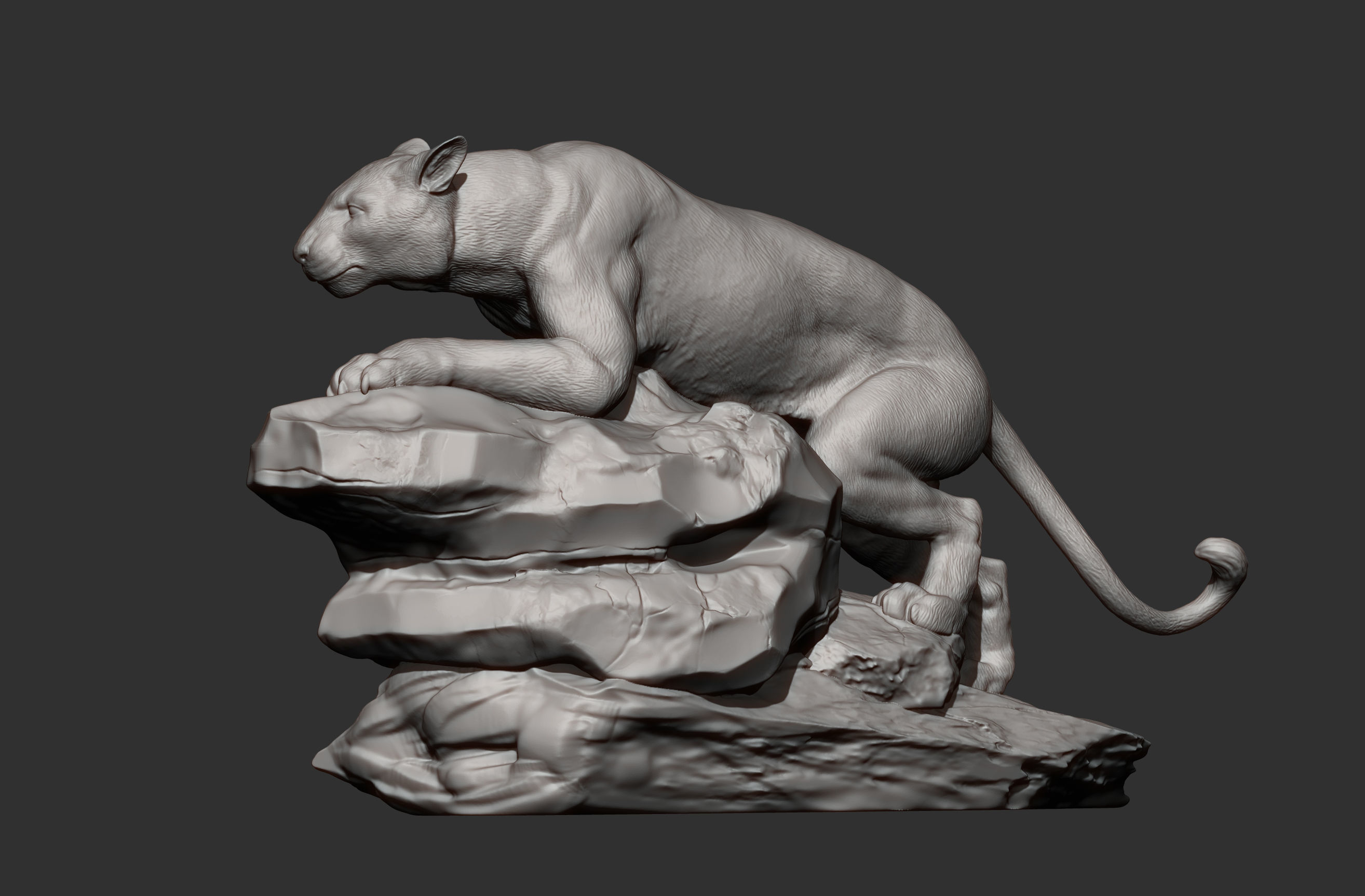 panther on stone 3D print model_6