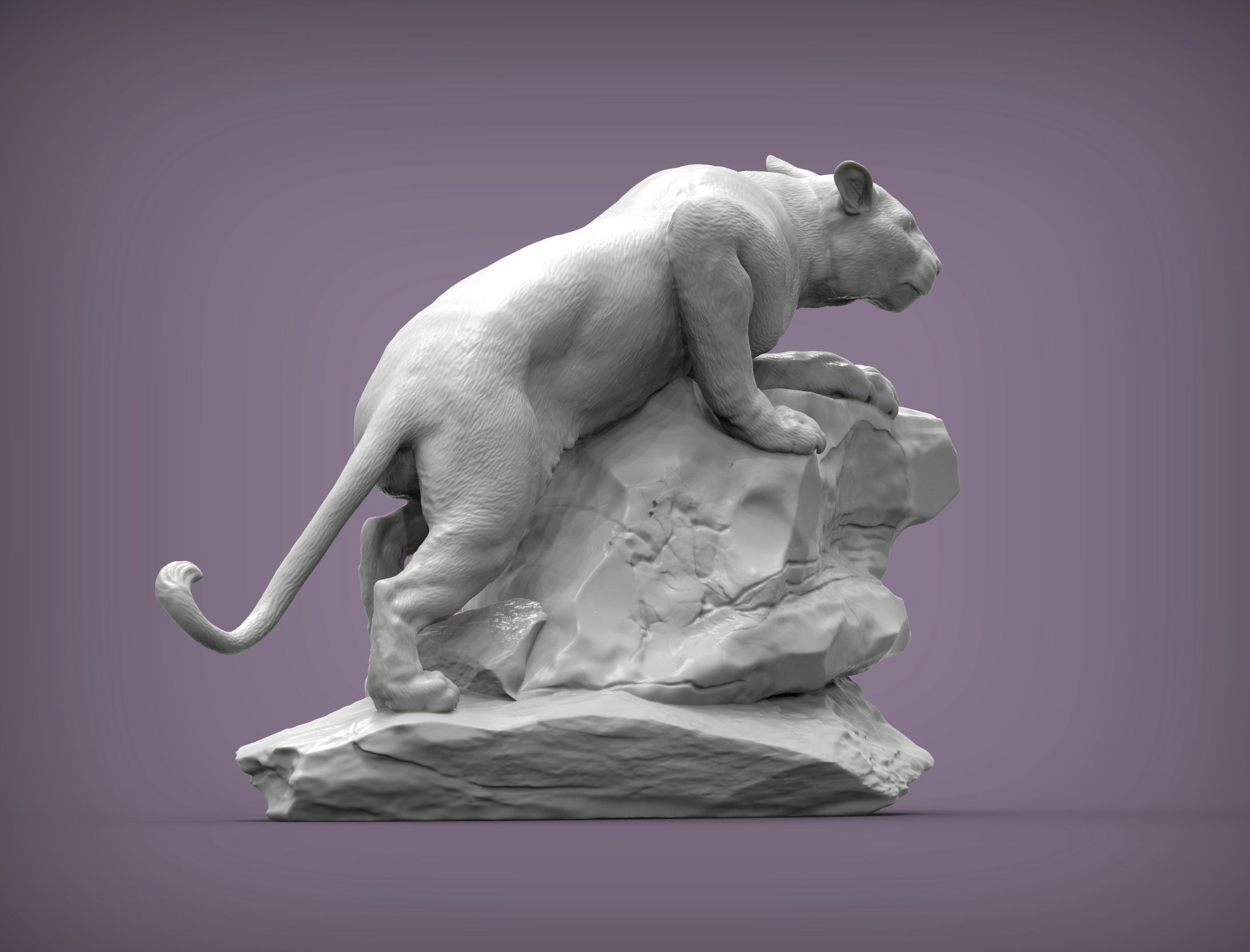 panther on stone 3D print model_1