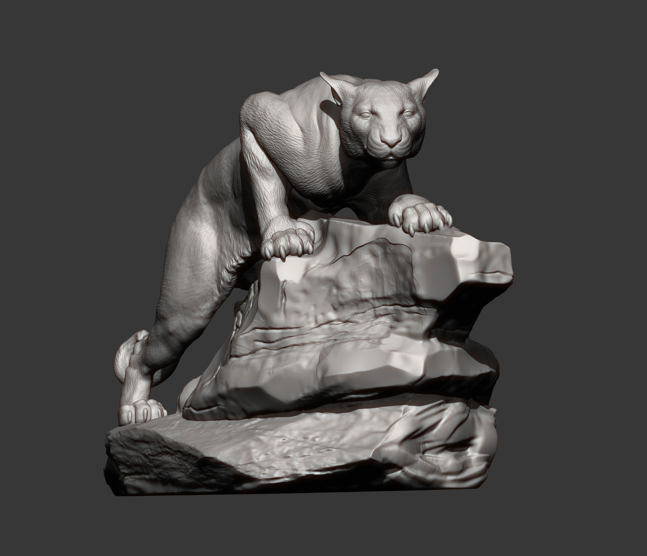panther on stone 3D print model_8