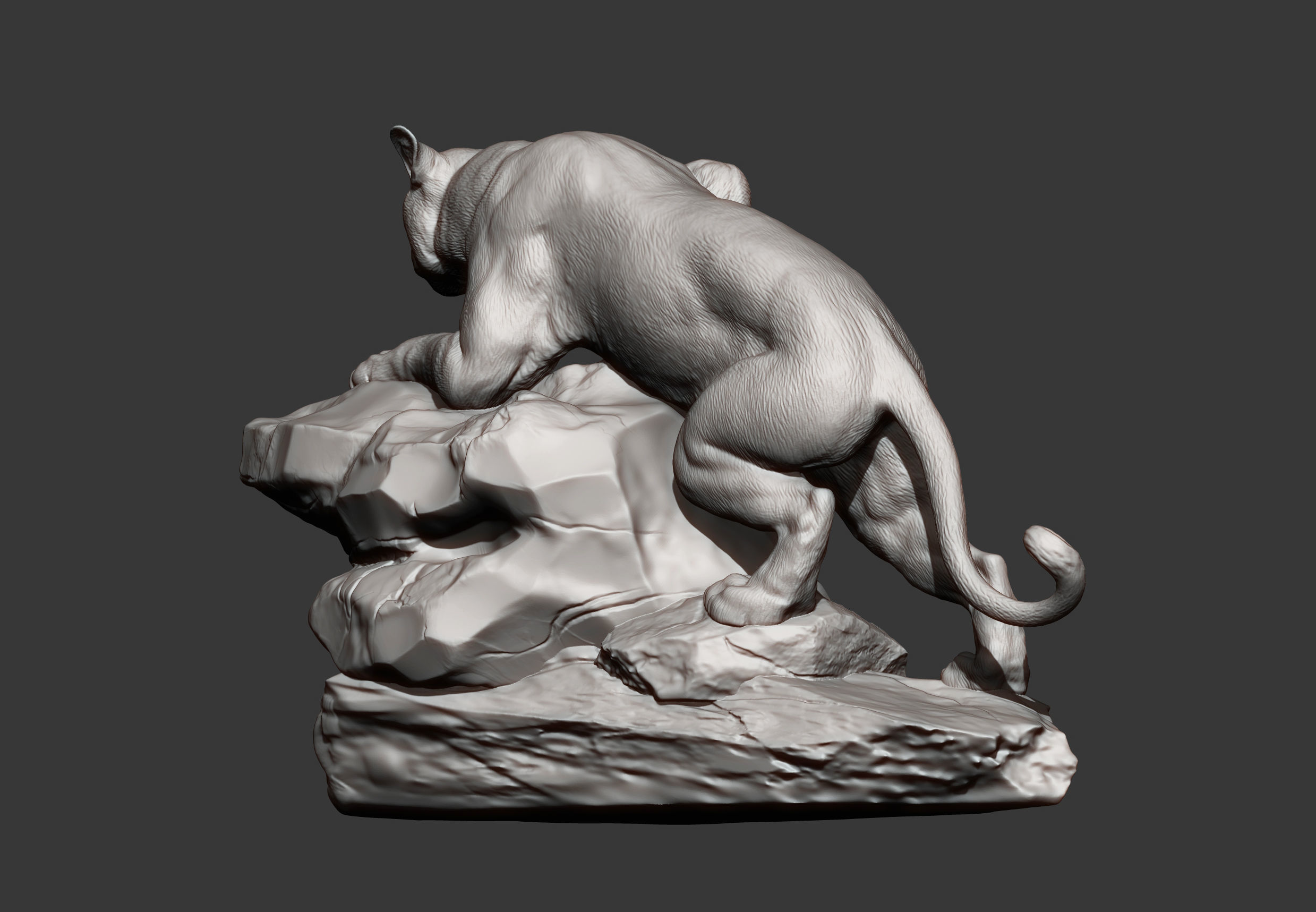 panther on stone 3D print model_7