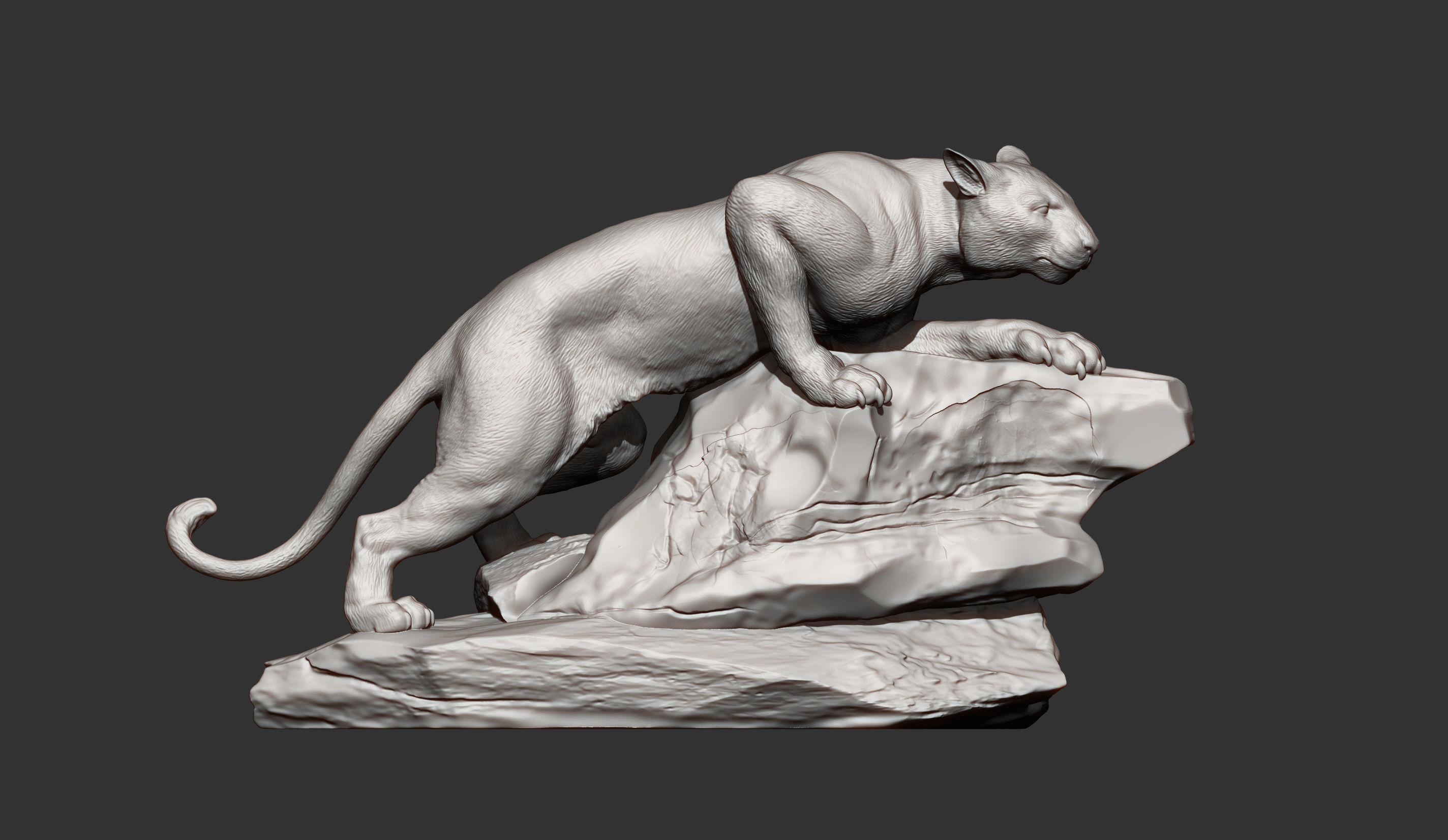 panther on stone 3D print model_11