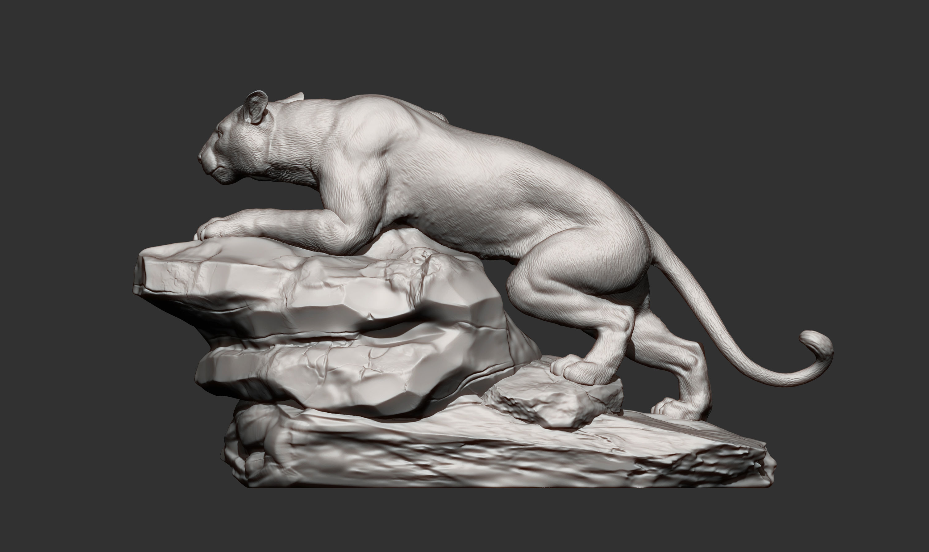 panther on stone 3D print model_9