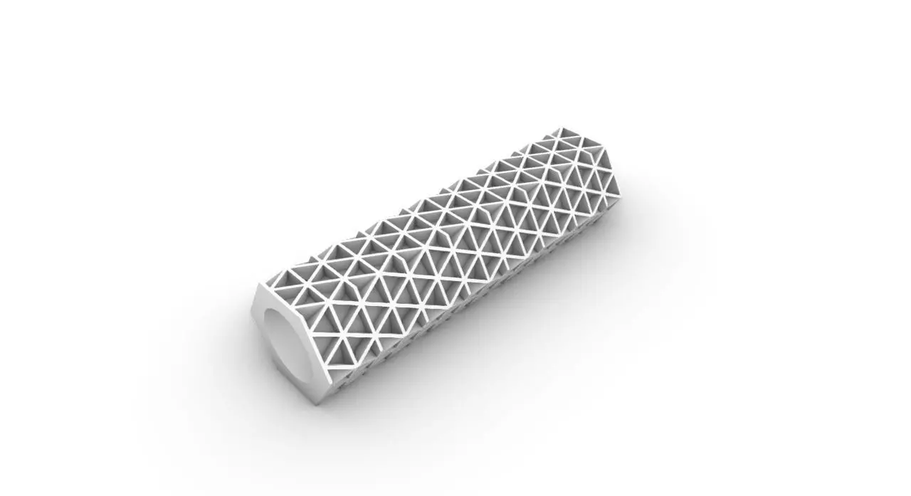 Lantern Shell Free 3D print model