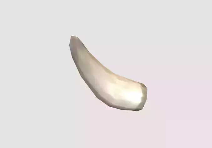 sharp bone horn 