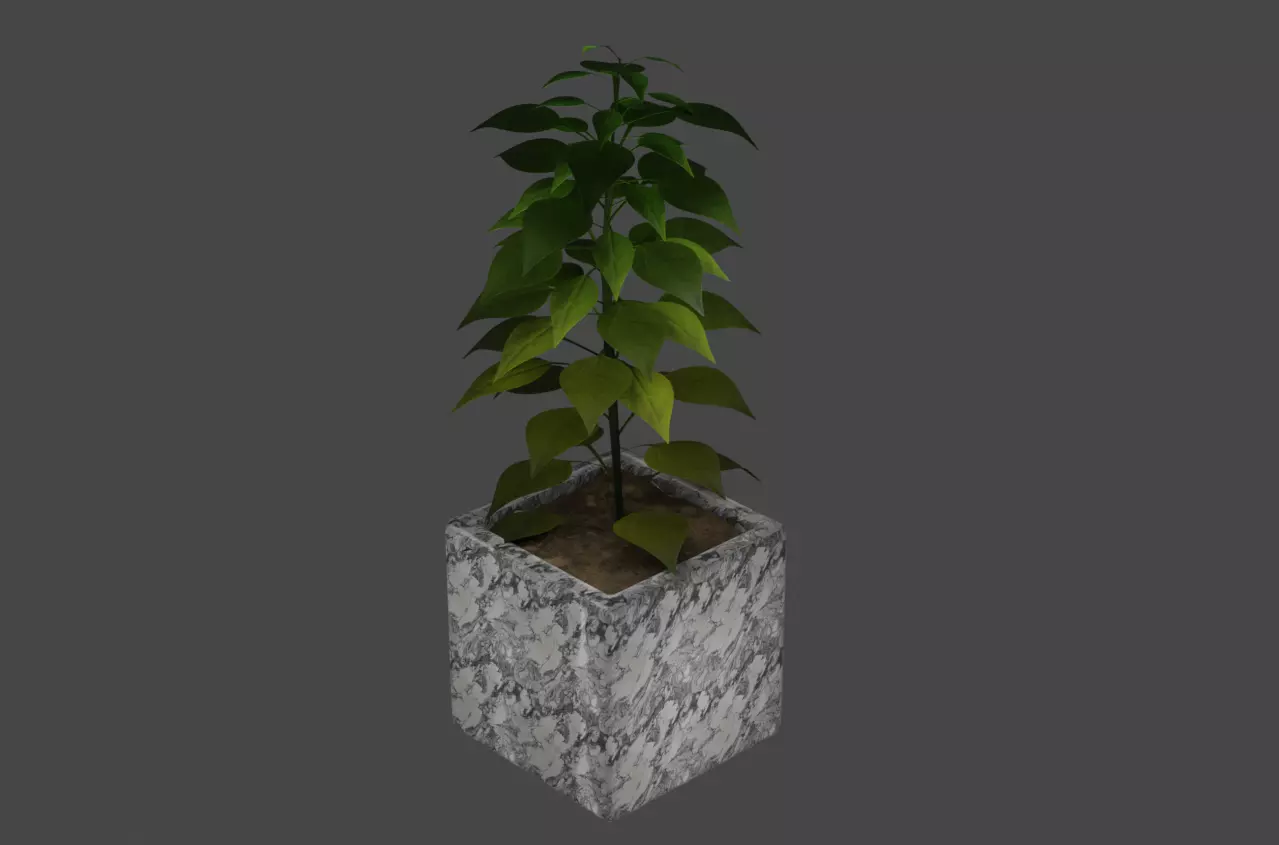 Plant in concrete pot Free low-poly 3D model